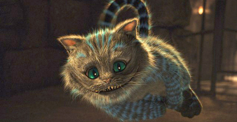 the Cheshire cat