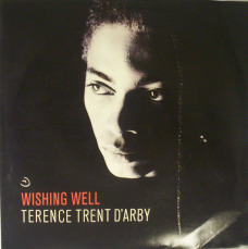 Terence Trent D'Arby's Wishing Well